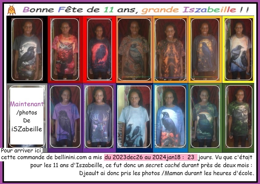 11ansDiszabeille 11ansDiszabeille
